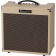 Roland Blues Cube Hot Combo Guitar Amp Vintage Blonde Angle 2