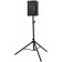 Roland CUBE Street EX Portable Amplifier Stand Mounted