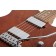 Schecter PT Van Nuys Gloss Natural Ash PICKUPS NEW