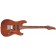 Schecter Traditional Van Nuys Gloss Natural Ash TILT