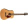 Seagull Coastline S12 Cedar 12 String Acoustic Guitar