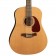 Seagull Coastline S12 Cedar 12 String Acoustic Guitar