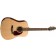 Seagull Coastline S6 Spruce Acoustic Guitar