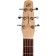 Seagull Excursion Nat Folk Solid Spruce SG Acoustic Headstock