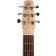 Seagull Excursion Nat Grand Solid Spruce SG Headstock