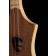 Seagull M4 Mahogany Merlin Sound Hole