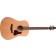 Seagull S6 Cedar Original Slim Acoustic Guitar