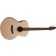 Seagull Walnut Mini Jumbo SG Isys T Acoustic Guitar