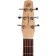 Seagull Excursion Nat Folk Solid Spruce SG Isys T Headstock
