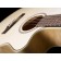 Seagull Performer CW Folk Flame Maple QIT High-Gloss