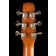 Seagull Performer CW Folk Flame Maple QIT High-Gloss