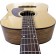 Seagull S6 Cedar Gloss Top Acoustic Guitar Body