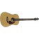 Seagull S6 Cedar Gloss Top Acoustic Guitar