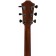 Sigma GWCE-3+ Walnut Electro-Acoustic Guitar