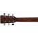 sigma_000M-1E_headstock_back