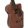 Sigma BMC-15E Acoustic Bass Guitar Natural Body Detail