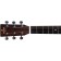 Sigma DMEL Left Handed Dreadnought Headstock