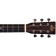 Sigma DSME Dreadnought Shortscale 14-fret Headstock