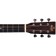 Sigma DSME Dreadnought Shortscale 14-fret Headstock