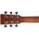 Sigma DSME Dreadnought Shortscale 14-fret Headstock Back