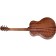 Sigma Grand Orchestral Shortscale 14-fret Back