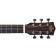 Sigma Grand Orchestral Shortscale 14-fret Headstock