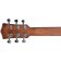 Sigma Grand Orchestral Shortscale 14-fret Headstock Back