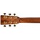 Sigma SD-50 50th Anniversary Dreadnought Headstock Back