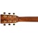 Sigma SD-50 50th Anniversary Dreadnought Headstock Back