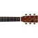 Sigma SD-50 50th Anniversary Dreadnought Headstock