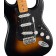 Squier 40th Anniversary Stratocaster Vintage Edition Satin Wide 2-Color Sunburst Body Detail