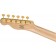 Squier 40th Anniversary Telecaster Gold Edition Sherwood Green Metallic Headstock Back