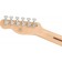 Squier Affinity Series Telecaster Maple Fingerboard Black Pickguard Butterscotch Blonde Headstock Back