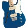 Squier Paranormal Cabronita Telecaster Thinline Lake Placid Blue Body Detail