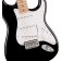 Squier Sonic Stratocaster Pack Maple Fingerboard Black Box Guitar Body Detail