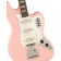Squier Squier FSR Classic Vibe Bass VI Laurel Fingerboard Parchment Pickguard Matching Headstock Shell Pink Body Detail