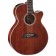 Takamine EF261S-AN Gloss Antique Stain Electro Acoustic Body