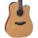 Takamine GD20CE Electro-Acoustic Guitar Natural Body