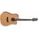 Takamine GD20CE Electro-Acoustic Guitar Natural Front