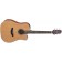 takamine_gd20ce_electro-acoustic_guitar_natural_front
