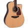 Takamine GD90CE-MD Dreadnought Electro-Acoustic Guitar Natural Body