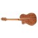 Takamine LTD2022 Limited Edition Koa Back