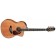 Takamine LTD2022 Limited Edition Koa Front