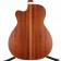 Takamine Pro Series 3 P3MC OM Electro-Acoustic