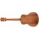 Washburn-G-Mini-55-KOA-Natural-Back