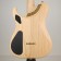 Washburn Nele Standard Body Back