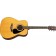 Yamaha F310 Acoustic Guitar for Beginners Front