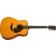 Yamaha FG5G Red Label Acoustic Guitar Front