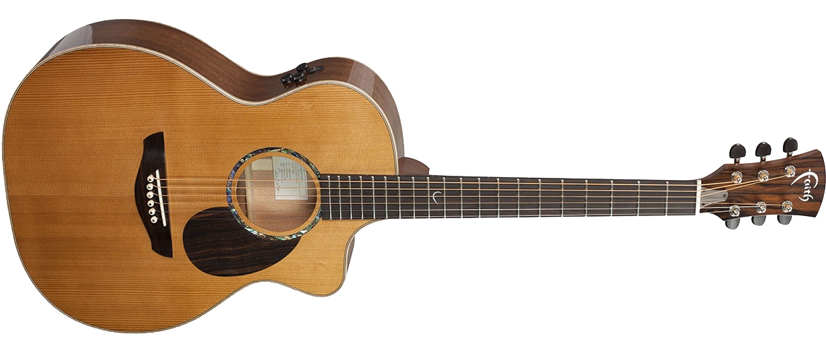 Pje guitars shop