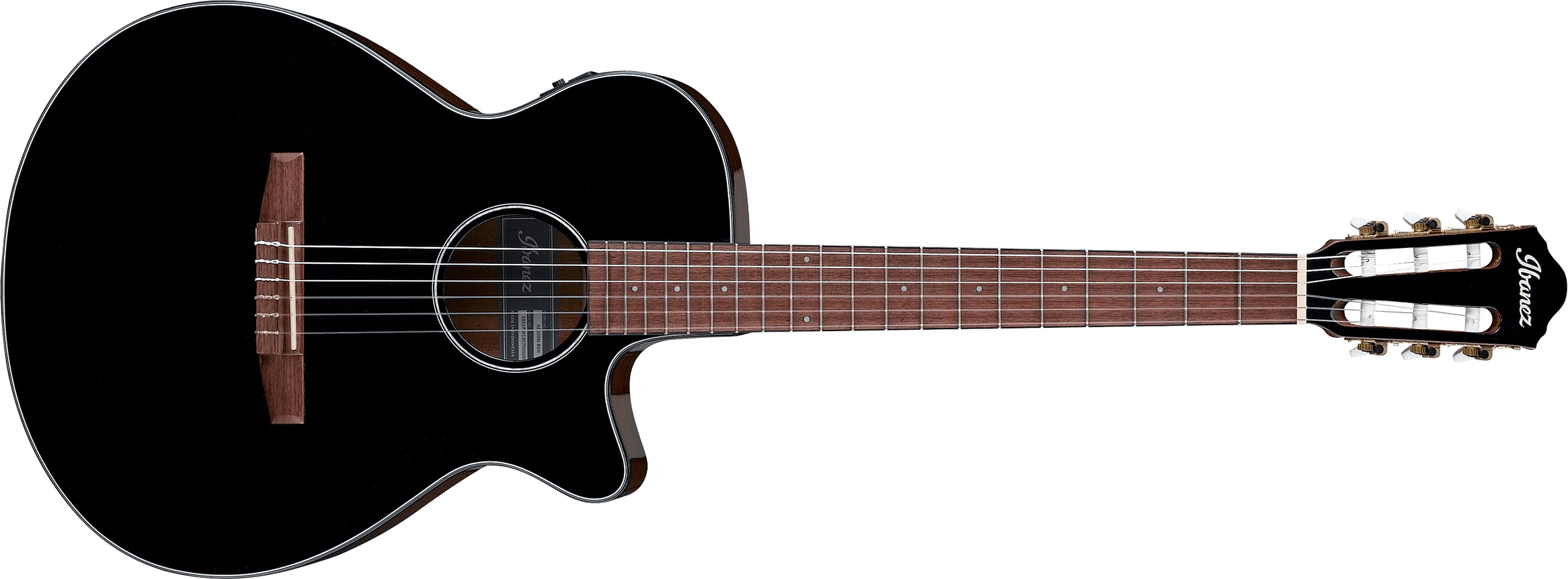 Ibanez AEG50N Nylon String Electro Acoustic Black Guitar